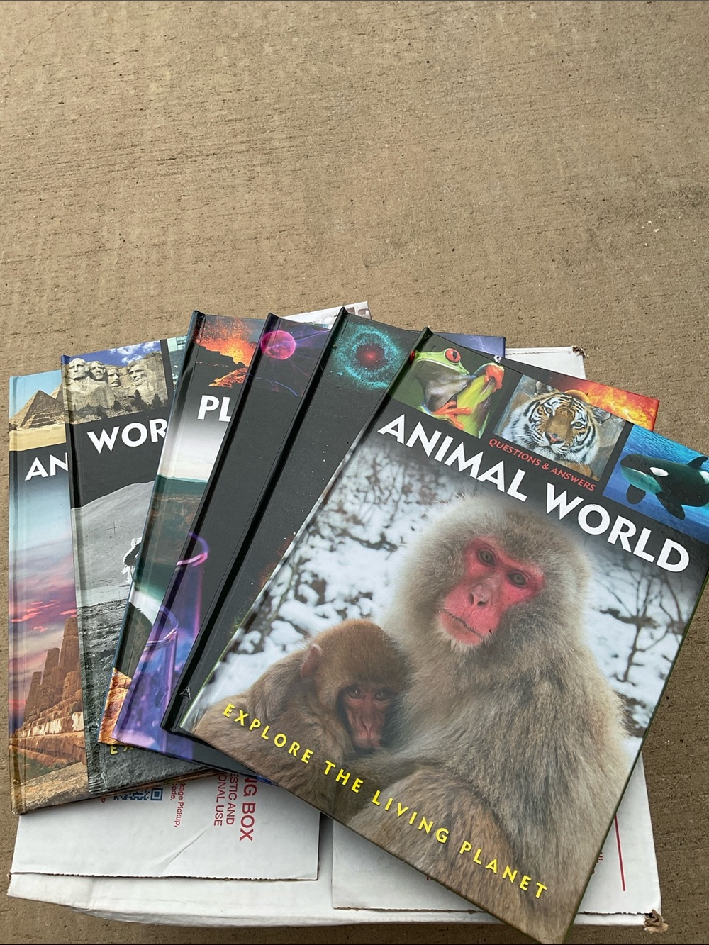 Questions and answers Capella book set of 6